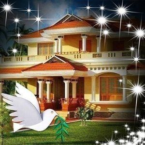 Meet your Posher, Albert